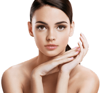 Newsletter - pondot. It