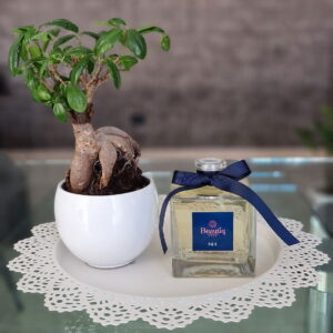 Offerte e sconti - pondot. It