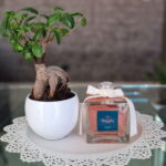 Profumatore Per Ambiente - Legni Preziosi E Orchidee 500Ml - immagine 2