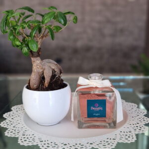 Offerte e sconti - pondot. It