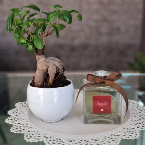 Offerte e sconti - pondot. It